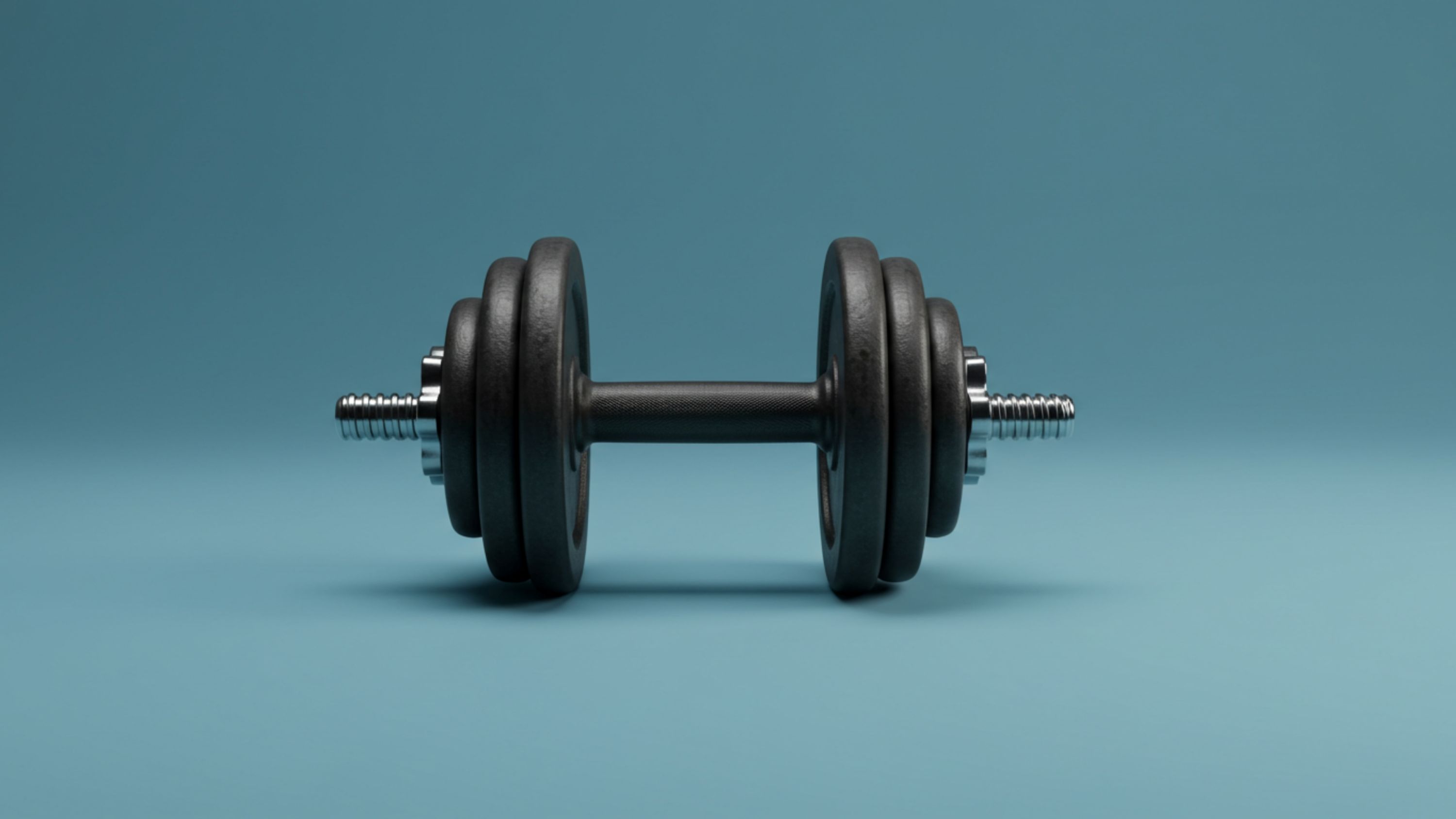 Shutterstock 2642867039